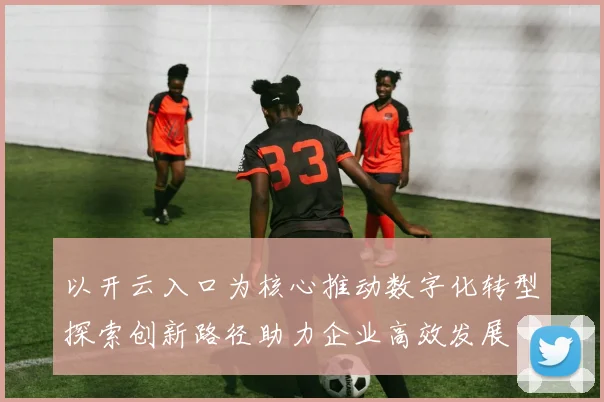 以开云入口为核心推动数字化转型探索创新路径助力企业高效发展