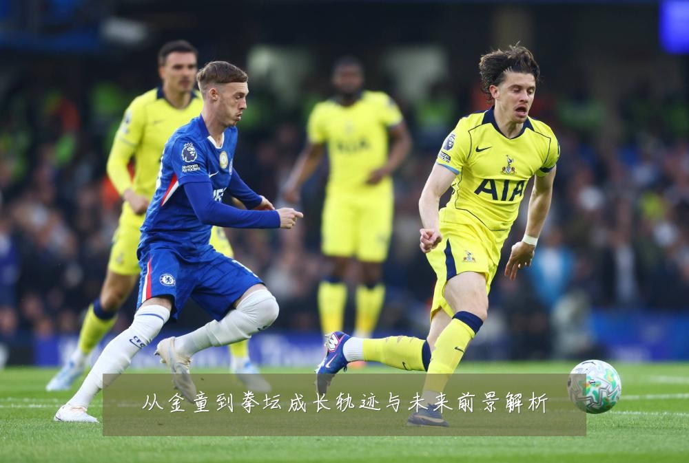 从金童到拳坛成长轨迹与未来前景解析