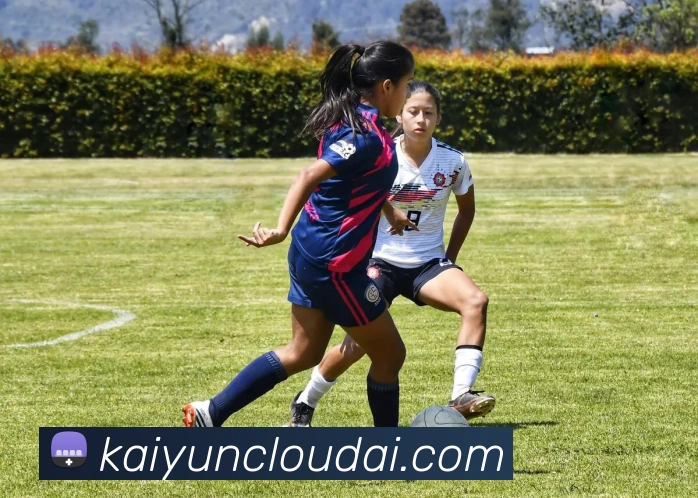 开云平台展示图